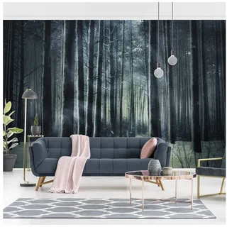 Bilderdepot24 Fototapete Fototapete schwarz Wald, Glatt, Matt, 3D-Effekt geruchsfrei Bildtapete Wohnzimmer Schlafzimmer schwarz 288 m x 190 m
