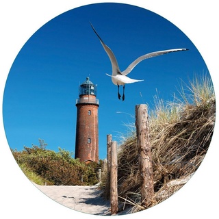 Wallario Glasbild, Möwe am Strand mit Leuchtturm, in verschiedenen Ausführungen braun