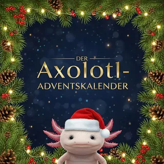 FlipFlop Axolotl-Adventskalender