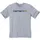 Core Logo grau XL