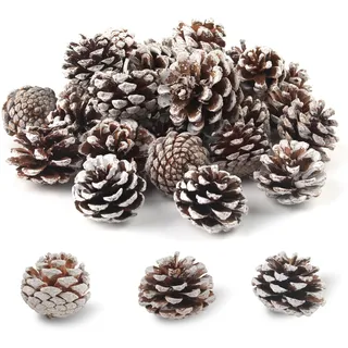 Xbessc 32 Stück 3-4cm Weihnachten Tannenzapfen Natur Kiefernzapfen Deko mit Schneebedeckt Effekt Natürliche Mini Pinienzapfen Weihnachtsdeko Adventskranz Herbst Winter Tisch Dekoration DIY Handwerk
