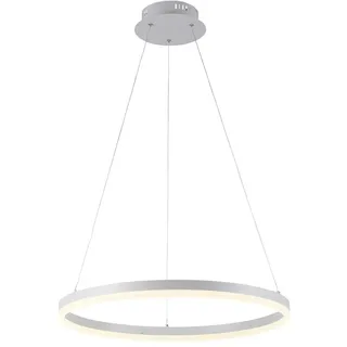 Paul Neuhaus Titus Pendelleuchte LED, 2382-16,
