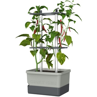 Gusta Garden Charly Chili Drinnen/Draußen Topfpflanzer Freistehend Aluminium, Polypropylen (PP) Hellgrau