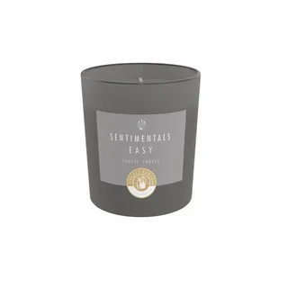 Engels Kerzen Duftkerze Sentimentals Easy im Glas - Frosty Forest grau