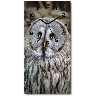 Tulup Glasuhr 30x60 cm - Schwarze Zeigern - Wanduhr Wandkunst Bild Gehärtetem Glas Uhr Echtglas Küche Wohnzimmer - Eule