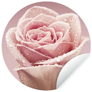 MuchoWow Wandsticker Tautropfen auf einer einzelnen rosa Rose (1 St), Wandtattoo Selbstklebend, Wohnzimmer Deko Aufkleber, 30x30 cm bunt 30 cm x 30 cm x 0.1 cm