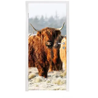 MuchoWow Türtapete Schottische Highlander - Schnee - Wald, Matt, bedruckt, (1 St), Türfolie Selbstklebend, Türtapete, Türdeko Poster, 95x235 cm bunt 95 m x 235 m