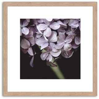 artissimo Bild mit Rahmen Bild gerahmt 30x30cm / Design-Poster inkl. Holz-Rahmen / Wandbild, Blumen: Lila Blüten II bunt