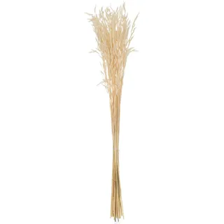 TROCKENBLUMENSTRAUß Hafer, Creme, Naturmaterialien, 7.5x85x7.5 cm, Dekoration, Blumen & Zubehör, Trockenblumen