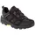 Black/Burly Yellow Xt 40,5
