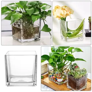 Glasvase 6 Zoll, eckig, transparent, für Wohnzimmer