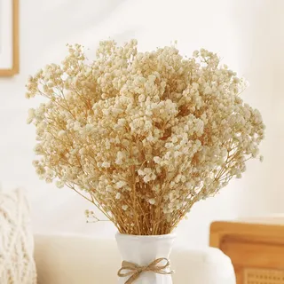 Schleierkraut Getrocknet, Trockenblumen Deko über 6000 Blütenknospe, 40-43cm Weiß Natürlich Gypsophila Trockenblumen Schleierkraut für Hochzeit, Tischvasendekor, DIY-Kranz, Gartendekor, Heimdekoration