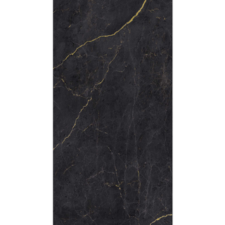 Breuer Rückwand 'Schwarz-Gold' seidenmatt 150 x 255 cm