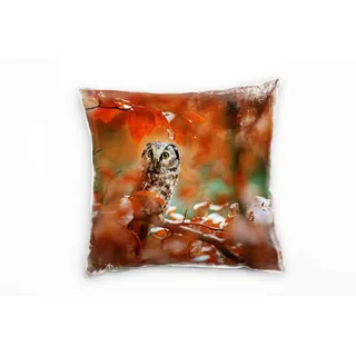 Paul Sinus Art Tiere, Eule, Herbst, rot, braun Deko Kissen 40x40cm für Couch Sofa Lounge Zierkissen - Dekoration zum Wohlfühlen