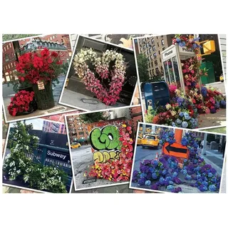 Ravensburger Blumen in New York 1000 Teile