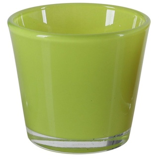 tegawo Blumentopf Mini Pflanztopf Glas, 5er-Set, für Mini Pflanzen oder Teelichter grün