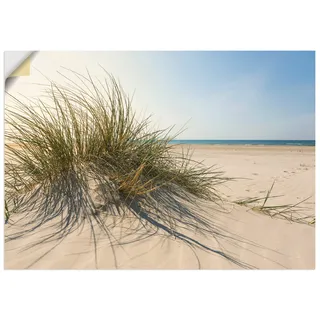 ARTland Wanddeko Wandtattoo selbstklebende Vinylfolie Strand Meer Dünen Küste Meerblick Sommer Sonne Himmel Gräser S9ZI