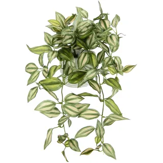 I.GE.A. Künstlicher Tradescantiahänger mit Übertopf Kunstpflanze hängend Deko Hängepflanze Rankende Girlande Pflanzenampel Ampel Grünpflanze Zimmerpflanze Kletterpflanze Efeuranke Efeu, 42x26x22cm