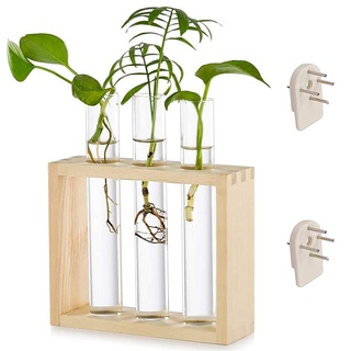 Reagenzglas Pflanzer, Glas Reagenzglas Blumenvase, Hydrokultur Pflanzen Mit Holzständer, Kann Holz Transparent Hängen Reagenzglasvase für Desktop Office Home Wanddekoration (3 Reagenzgläser)