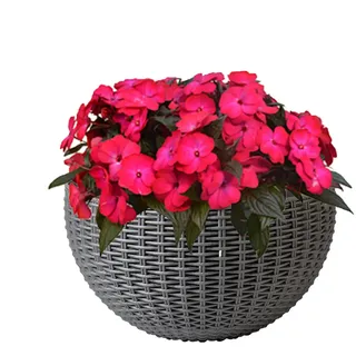 Generisch Wandblumentopf - Rattan-Imitat Blumentopf Für Die Wand,Pflanzgefäß Elegant Halbrund Deko Für Orchideen Begonien Petunien