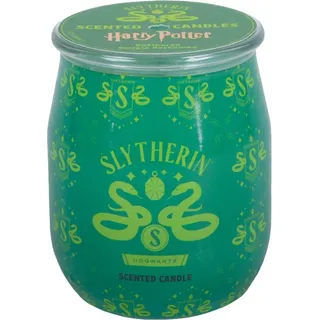 Fragrance 'n Style Duftkerze Duftkerze Harry PotterTM Barrel Slytherin - 90g