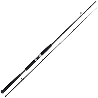 Shimano Fishing Shimano Beastmaster AX Pilk 2,40m 150-300g 2pc Pilkrute