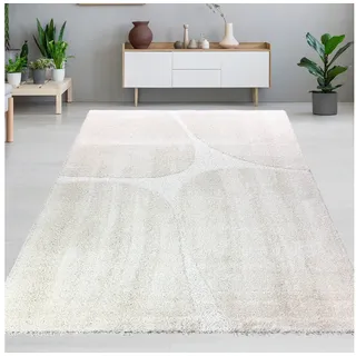 Carpetia Teppich Weicher Hochflor Teppich Pflegeleicht mit modernem 3D-Muster in Creme, Rund beige Rund | 200 cm x 200 cm