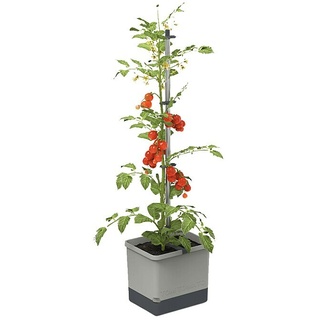 Gusta Garden Pflanztopf Tom Tomato  (28 x 35 x 136 cm, Ausstattung: Bewässerungssystem, Hellgrau)