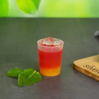Silverkitchen 50x Schnapsglas 4cl gefrostet - bruchsichere Shotbecher Mehrweg Schnapsgläser aus Plastik Made In Germany