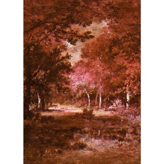 Komar Fototapete, Abstraktes, 200x280 cm, Tapeten Shop, Fototapeten