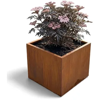 Czaja Cortenstahl Pflanzkübel 60x60x50 cm Fiorella - Made in Germany - Rost Deko Blumenkübel quadratisch – wetterfest & langlebig – Garten Terrasse Balkon – Edelrost Pflanzgefäß