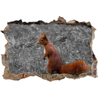 Pixxprint 3D_WD_S4130_62x42 kleines aufmerksames Eichhörnchen auf der Wiese Wanddurchbruch 3D Wandtattoo, Vinyl, schwarz / weiß, 62 x 42 x 0,02 cm