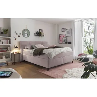 Set One by Musterring Fairfield 160 x 200 cm Rosa