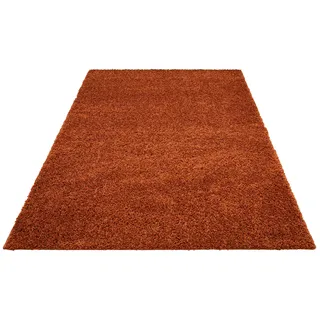 Hochflor-Teppich BRUNO BANANI "Shaggy Soft", rosa (kupfer), B:240cm H:30mm L:320cm, Kunstfaser, Teppiche, gewebt, Uni Farben, besonders weich und kuschelig, Kundenliebling