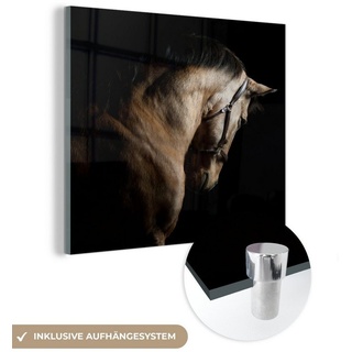 MuchoWow Acrylglasbild Pferde - Halfter - Schwarz, (1 St), Dekorative Bild für Küche & Wohnzimmer auf Glas bunt Quadratisch - 90 cm x 90 cm x 0.5 cm