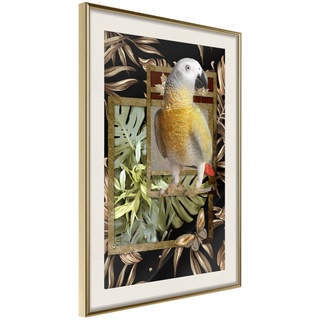 Poster - Composition with Gold Parrot