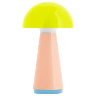 REMEMBER Bob Lime