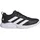Core Black / Cloud White / Core Black 42 2/3