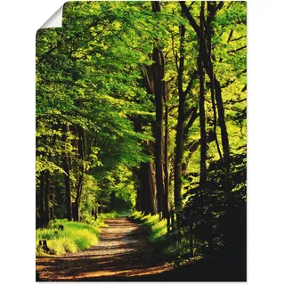 Wandbild ARTLAND "Weg im Wald" Bilder Gr. B/H: 90 cm x 120 cm, Poster Wald, 1 St., grün Kunstdrucke als Alubild, Outdoorbild, Leinwandbild, Poster in verschied. Größen