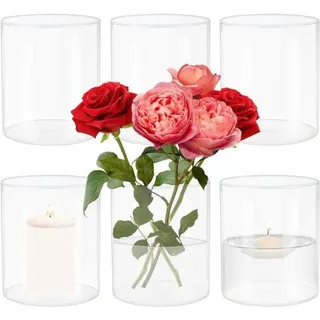 Famanu Set von 6 Zylindervasen aus Glas (8,5x10cm) - Klare Blumenvasen für Dekoration und Kerzen