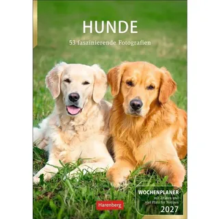 Harenberg Hunde Wochenplaner 2027 Weiß