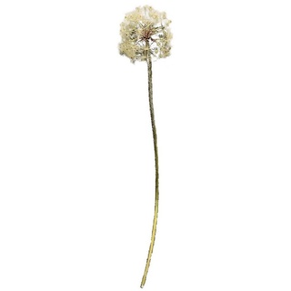 Kunstblume »Kunstblume Pusteblume Flora« Pusteblume, HTI-Living, Höhe 91 cm beige