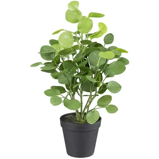 Gasper Kunstpflanze Eukalyptus AYCALY, Grün - H 38 cm - schwarzer Kunststofftopf