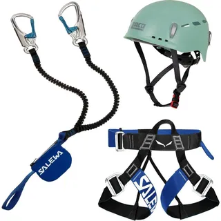 Klettersteig Komplettset Salewa Premium Attac + Salewa Via Ferrata Pro Evo Gurt + LACD Protector Helm mint