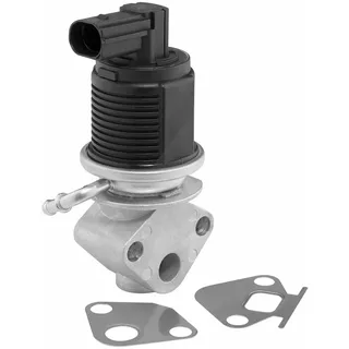 BorgWarner AGR-Ventil 712055D