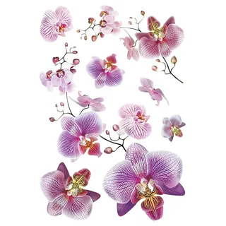 AG Design SM 3440 Orchidee, Wand Sticker, Colorful, 42, 5 x 65 cm