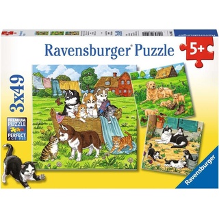 Ravensburger Kinderpuzzle - Süße Katzen und Hunde - Puzzlespiel - 49 Stück(e) - Tiere - Kinder - 5 Jahr(e) (08002)