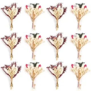 Set aus 12 Mini Trockenblumen zur Dekoration