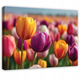 WALLARENA Leinwandbild Blumen in Bunt | Gr.: 120 x 80 cm