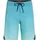 ONEILL Superfreak 20 Boardshorts canal blue panel 30